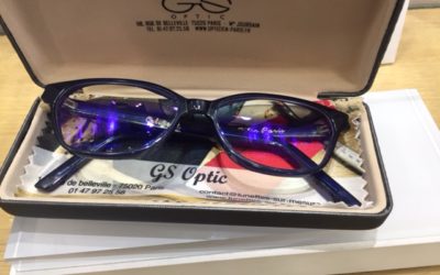 Lunettes bleues papillon